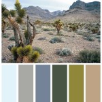Bringing The Desert Vibes Inside: A Guide To Desert Paint Colors