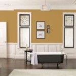 Exploring Sherwin Williams Gold Paint Colors