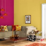 Interior Wall Paint Color Combinations Pictures