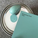 Robins Egg Blue Paint Color: A Timeless Classic