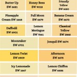 Sherwin Williams Yellow Paint Colors