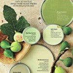 Using Earthy Green Paint Colors To Create A Relaxing Environment